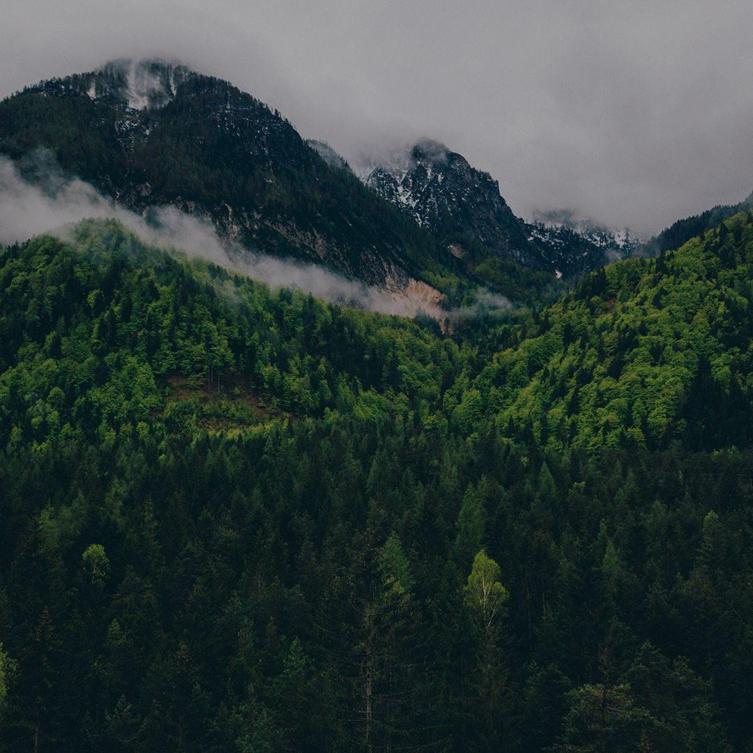 BackgroundImage