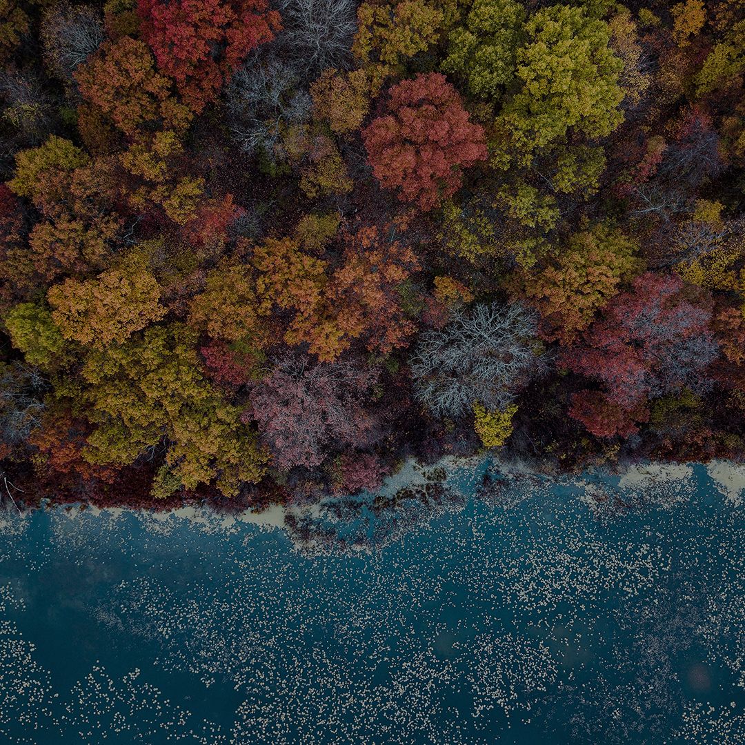BackgroundImage