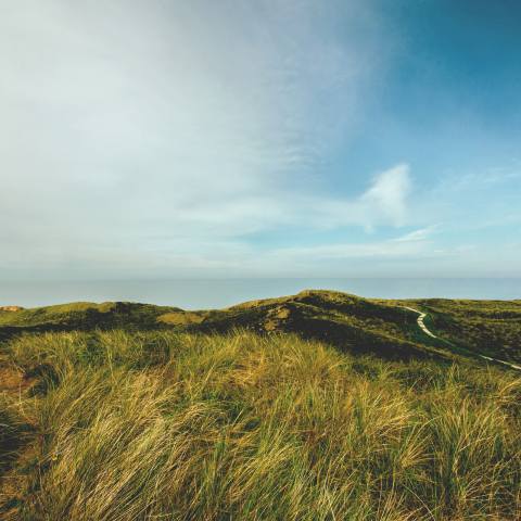 BackgroundImage