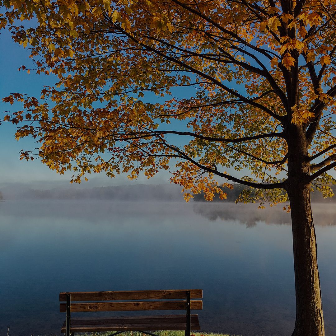 BackgroundImage