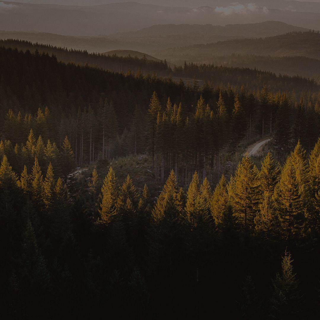 BackgroundImage